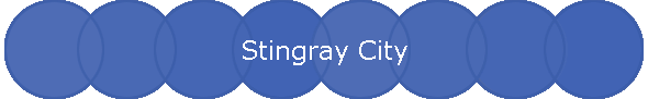 Stingray City